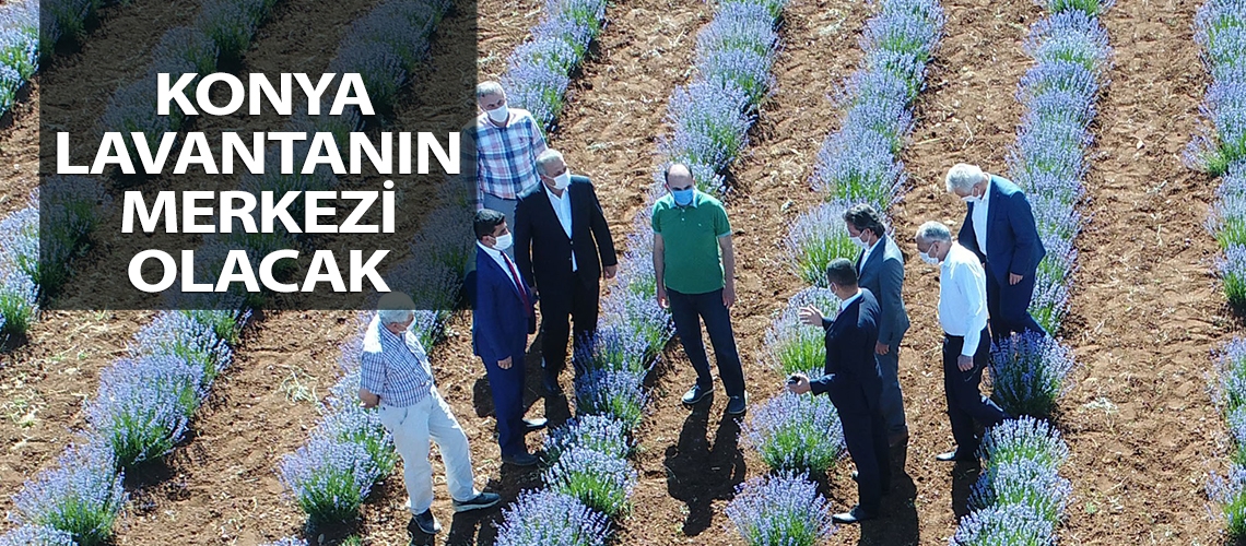 Konya lavantanın merkezi olacak