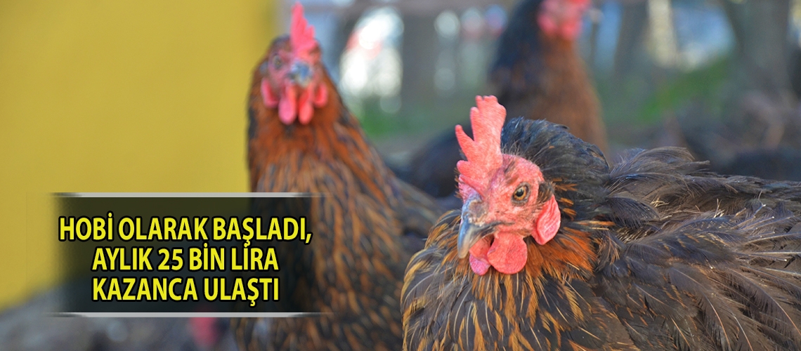 Hobi olarak başladı, aylık 25 bin lira kazanca ulaştı