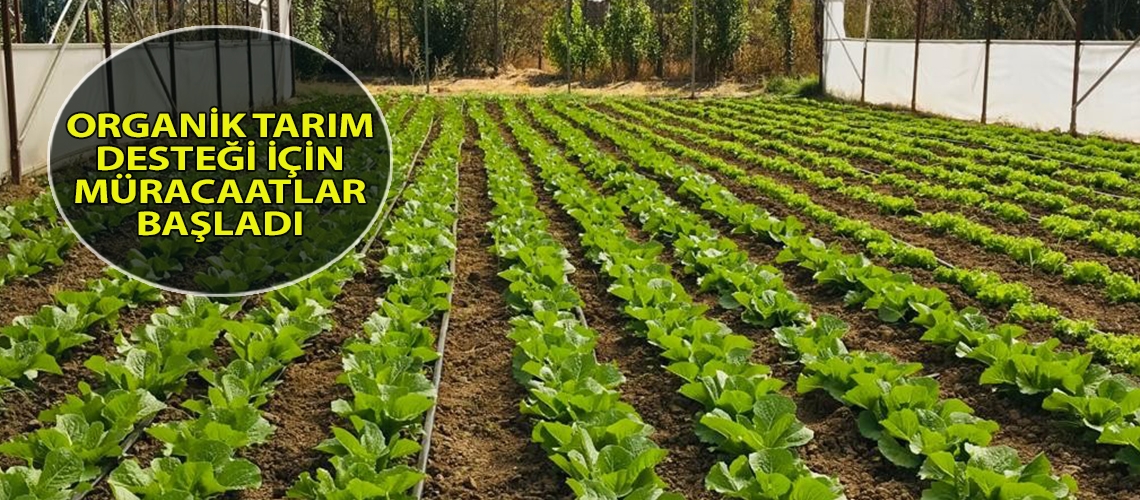 Organik tarım desteği için müracaatlar başladı