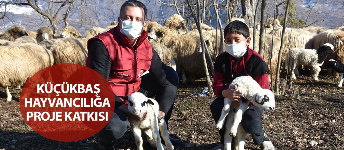 Küçükbaş hayvancılığa proje katkısı