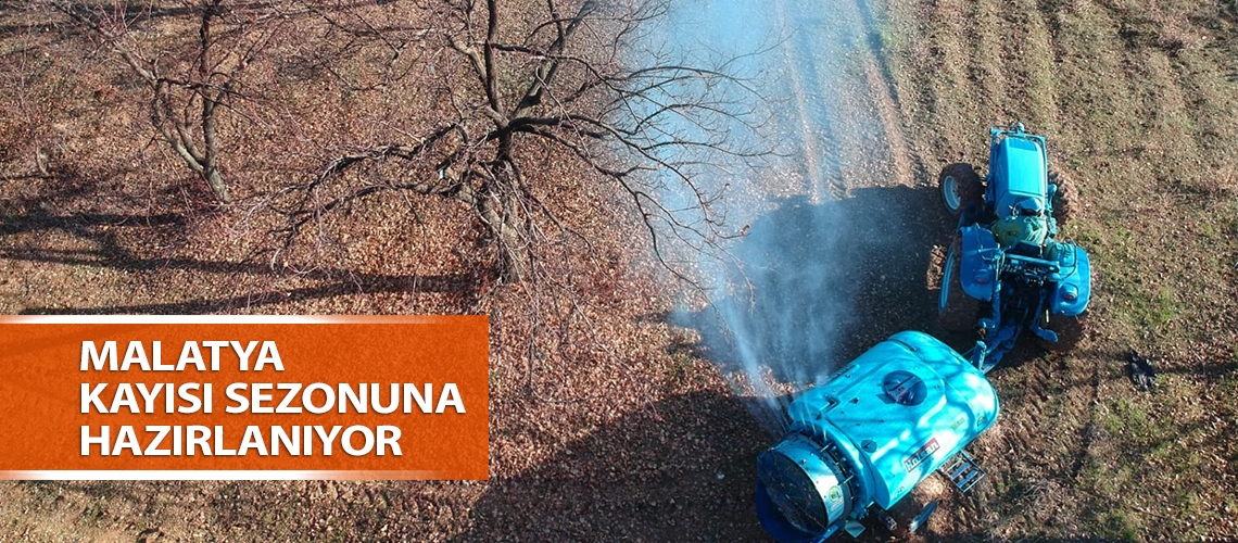 Malatya kayısı sezonuna hazırlanıyor