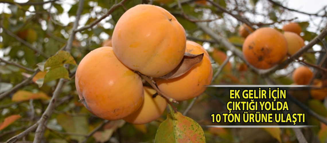 Ek gelir için çıktığı yolda 10 ton ürüne ulaştı
