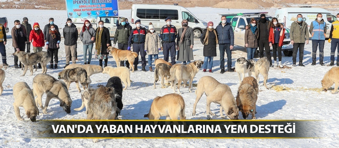 Van'da yaban hayvanlarına yem desteği