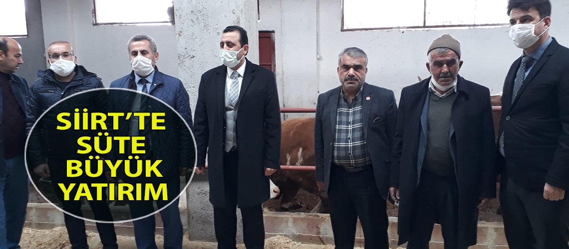 Siirt’te süte büyük yatırım