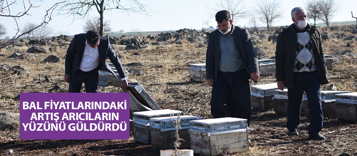 Bal fiyatlarındaki artış arıcıların yüzünü güldürdü