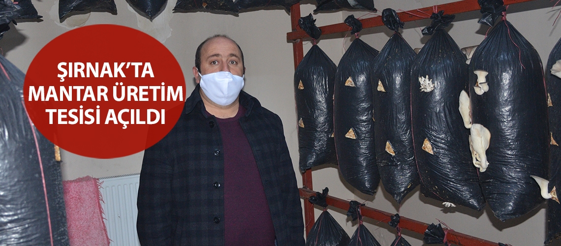 Şırnak’ta mantar üretim tesisi açıldı