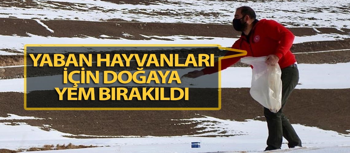 Yaban hayvanları için doğaya yem bırakıldı