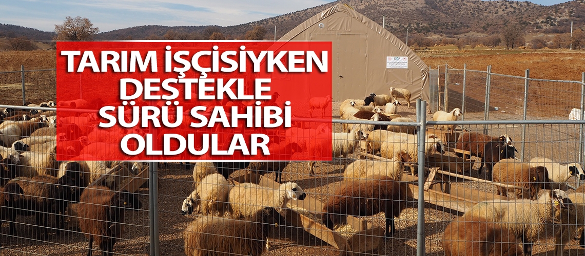 Tarım işçisiyken destekle sürü sahibi oldular