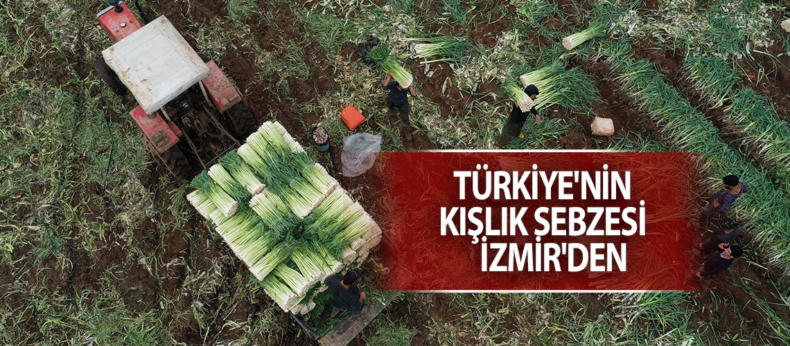 Türkiye'nin kışlık sebzesi İzmir'den