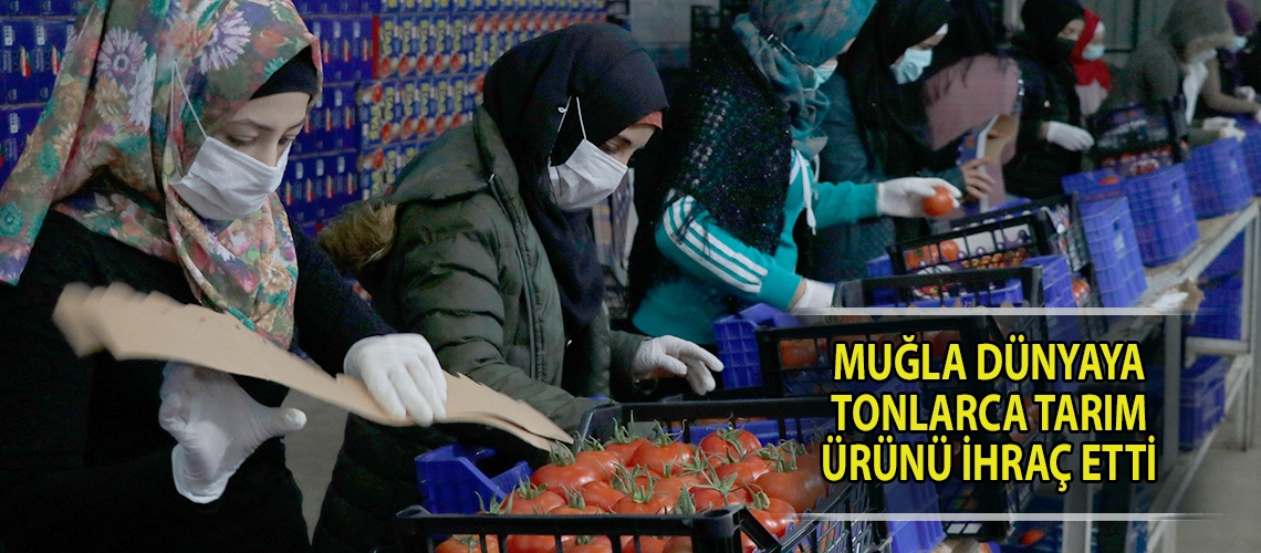 Muğla dünyaya tonlarca tarım ürünü ihraç etti