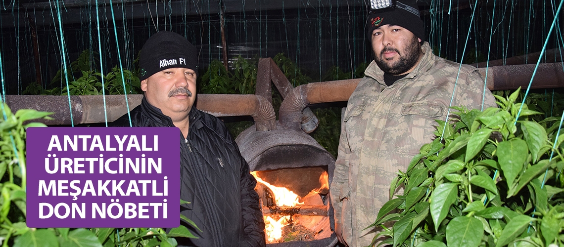 Antalyalı üreticinin meşakkatli don nöbeti