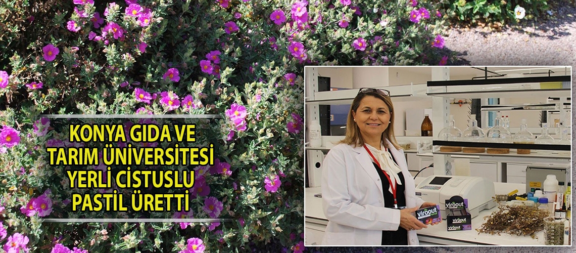 Konya Gıda ve Tarım Üniversitesi yerli cistuslu pastil üretti
