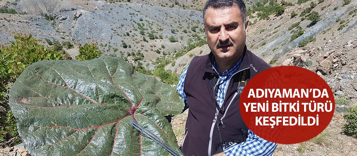 Adıyaman’da yeni bitki türü keşfedildi