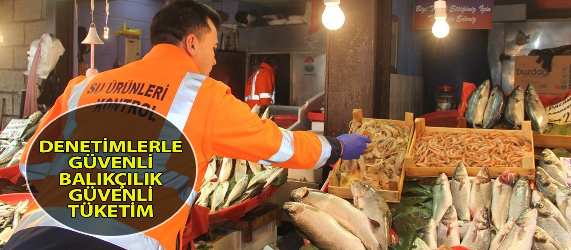 Denetimlerle güvenli balıkçılık güvenli tüketim