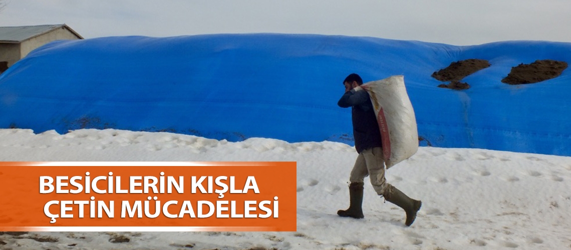 Besicilerin kışla çetin mücadelesi