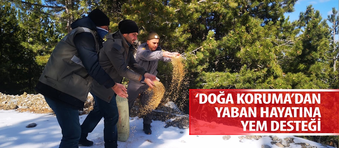 ‘Doğa Koruma’dan yaban hayatına yem desteği