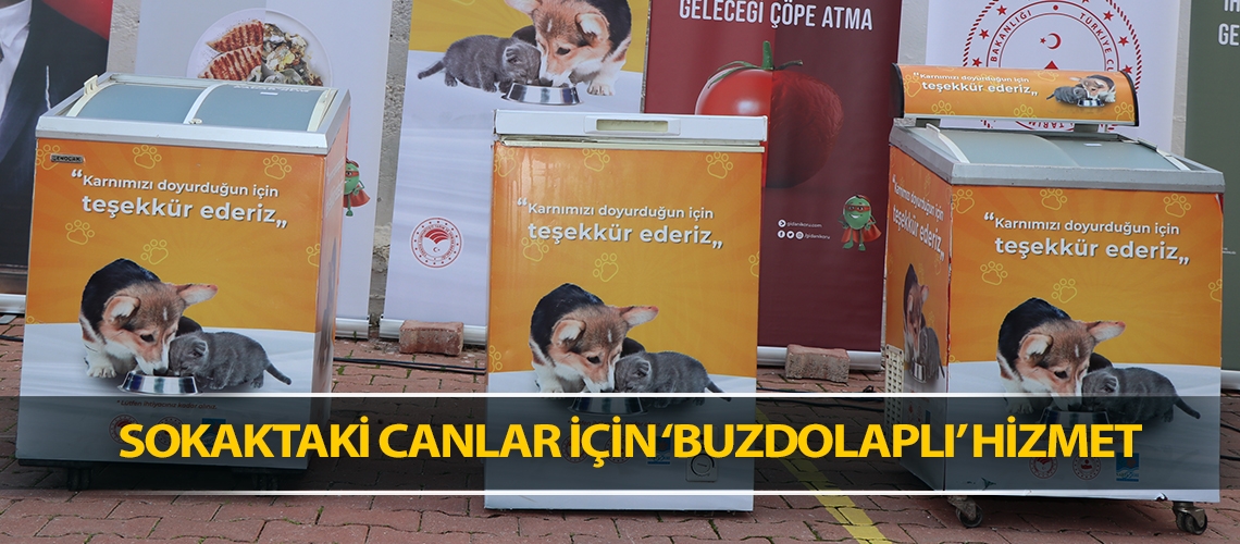 Sokaktaki canlar için ‘buzdolaplı’ hizmet