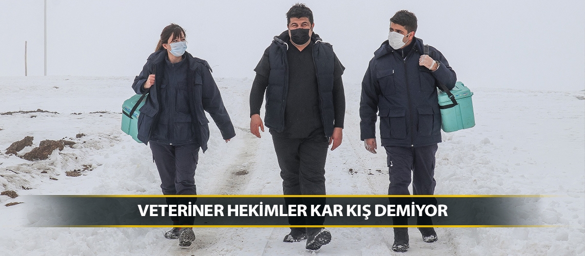 Veteriner hekimler kar kış demiyor
