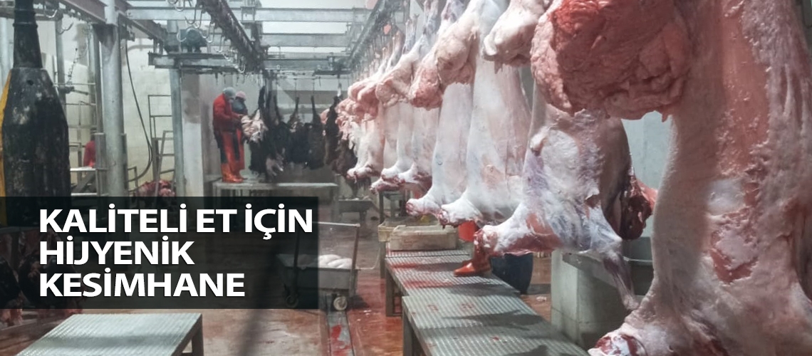 Kaliteli et için hijyenik kesimhane