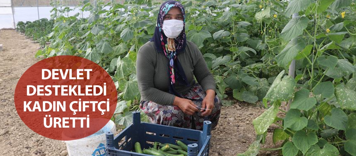 Devlet destekledi kadın çiftçi üretti