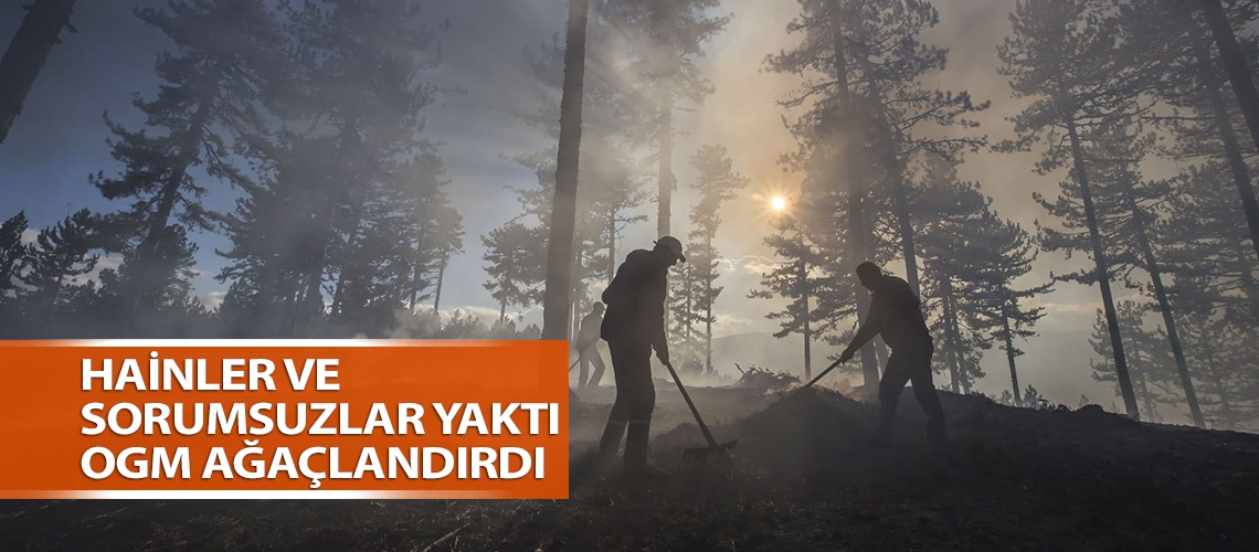 Hainler ve sorumsuzlar yaktı OGM ağaçlandırdı