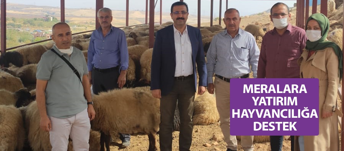 Meralara yatırım hayvancılığa destek