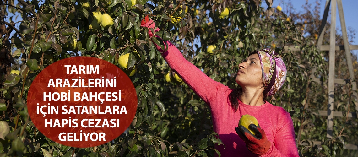 Tarım arazilerini hobi bahçesi için satanlara hapis cezası geliyor