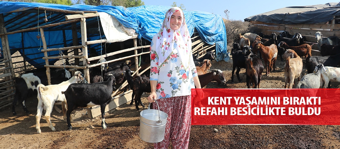 Kent yaşamını bıraktı refahı besicilikte buldu