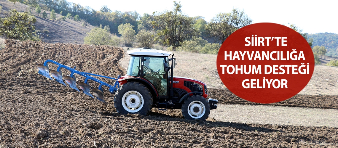 Siirt’te hayvancılığa tohum desteği geliyor