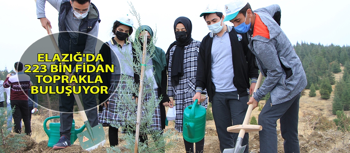 Elazığ'da 223 bin fidan toprakla buluşuyor