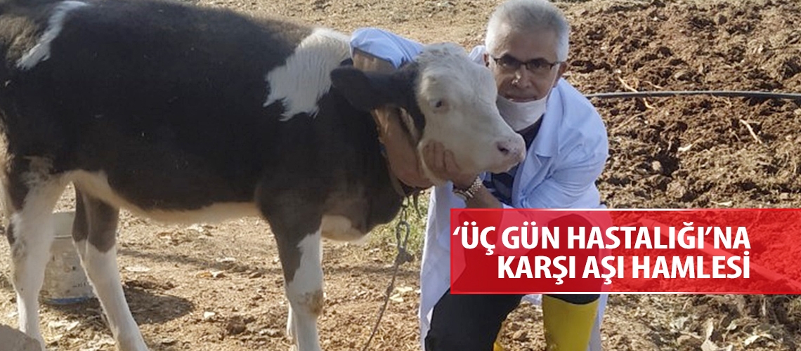 ‘Üç Gün Hastalığı’na karşı aşı hamlesi