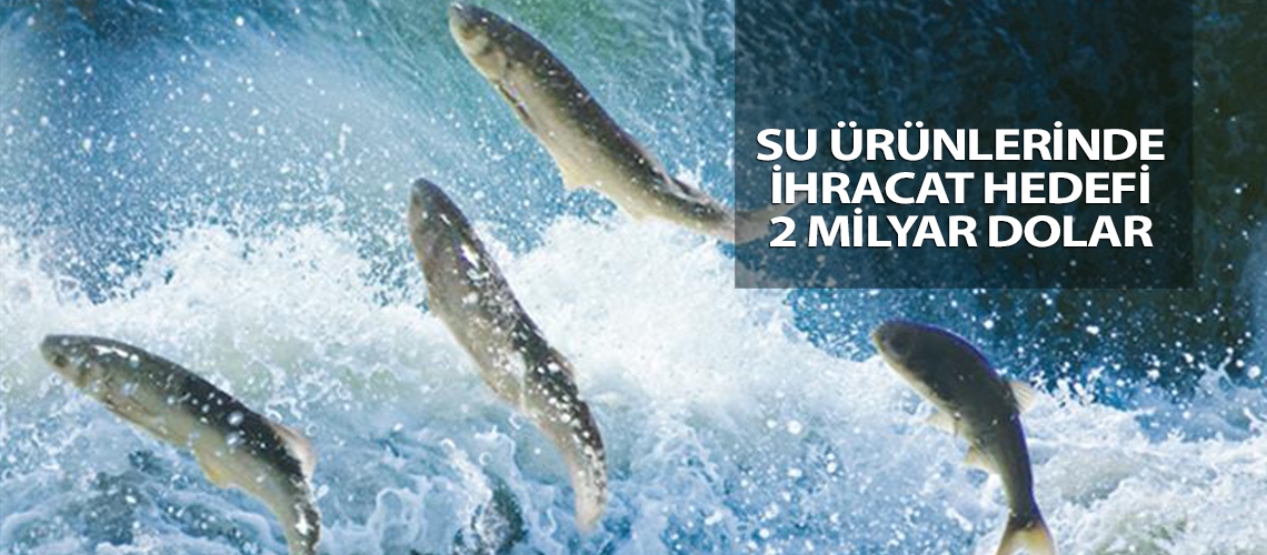 Su ürünlerinde ihracat hedefi 2 milyar dolar