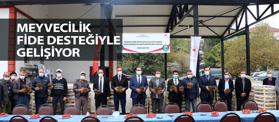 Meyvecilik fide desteğiyle gelişiyor