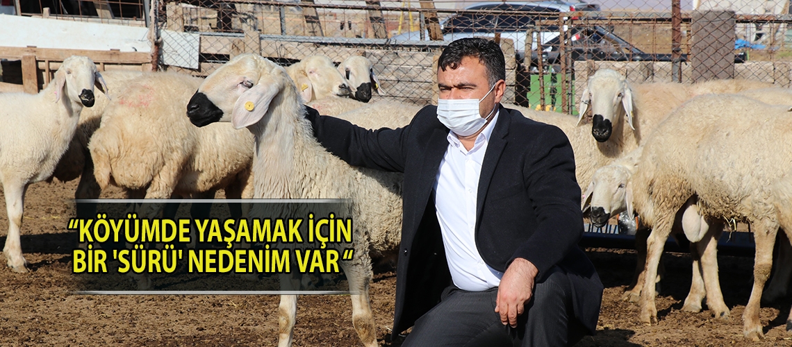 “Köyümde Yaşamak İçin Bir 'Sürü' Nedenim Var “