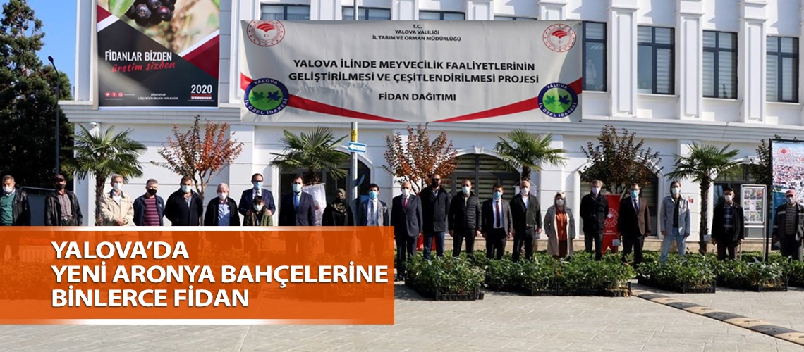 Yalova’da yeni aronya bahçelerine binlerce fidan