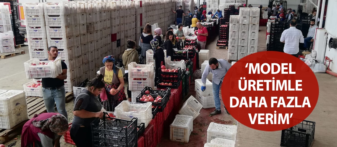 ‘Model üretimle daha fazla verim’