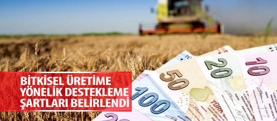Bitkisel üretime yönelik destekleme şartları belirlendi