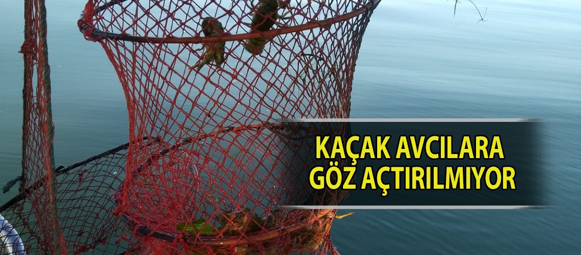 Kaçak avcılara göz açtırılmıyor