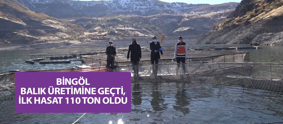 Bingöl balık üretimine geçti, ilk hasat 110 ton oldu