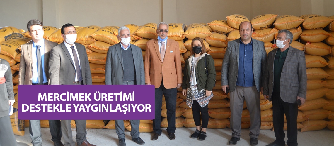 Mercimek üretimi destekle yaygınlaşıyor