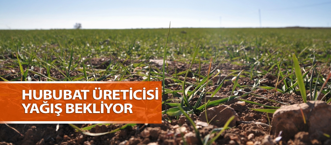 Hububat üreticisi yağış bekliyor