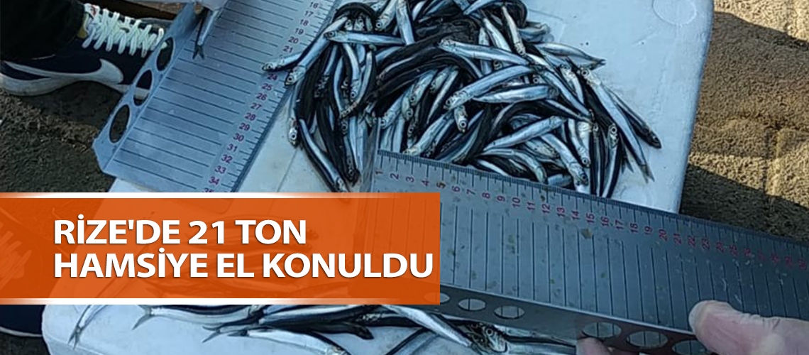 Rize'de 21 ton hamsiye el konuldu