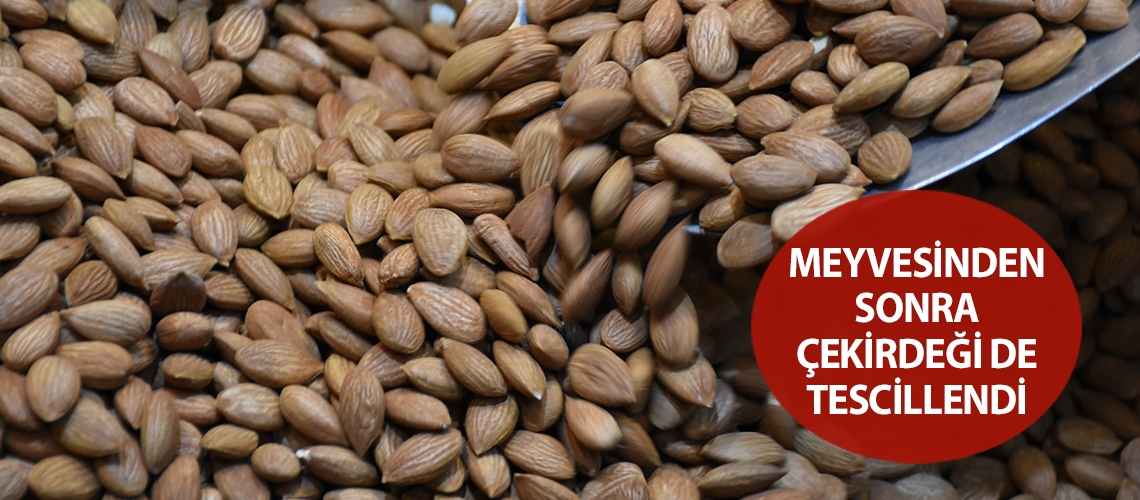 Meyvesinden sonra çekirdeği de tescillendi