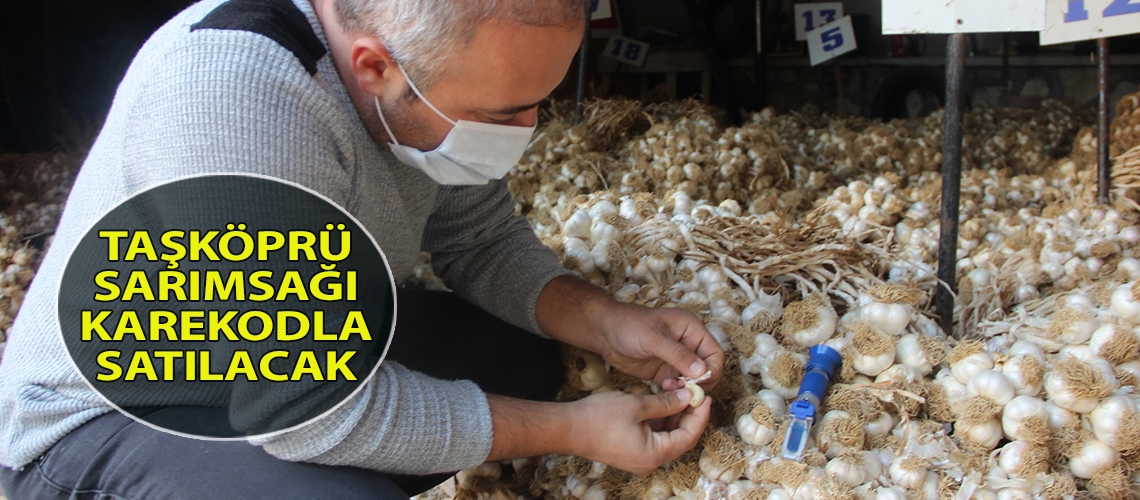 Taşköprü sarımsağı karekodla satılacak