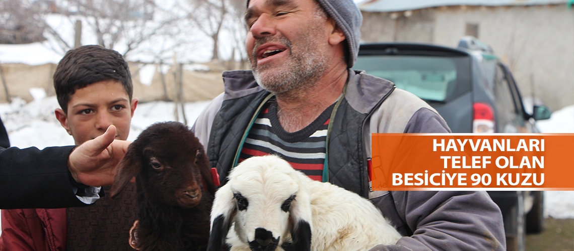 Hayvanları telef olan besiciye 90 kuzu