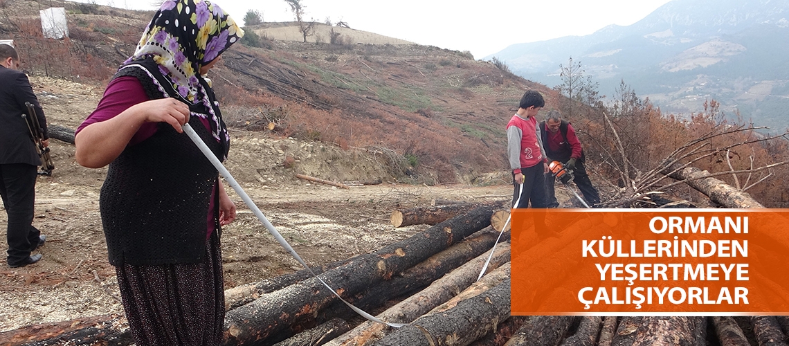 Ormanı küllerinden yeşertmeye çalışıyorlar