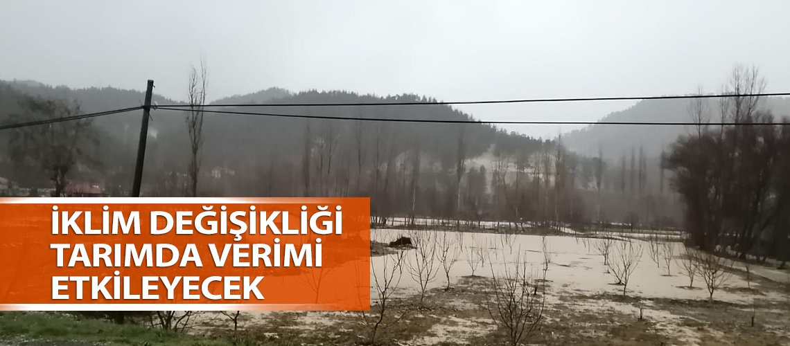 İklim değişikliği tarımda verimi etkileyecek