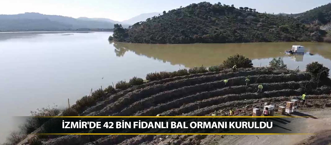 İzmir'de 42 bin fidanlı bal ormanı kuruldu