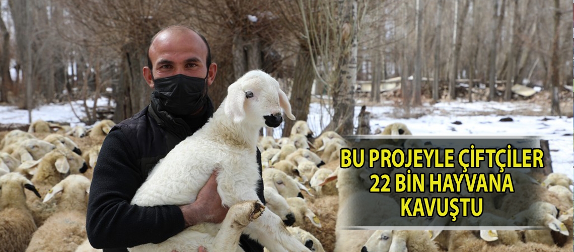 Bu projeyle çiftçiler 22 bin hayvana kavuştu