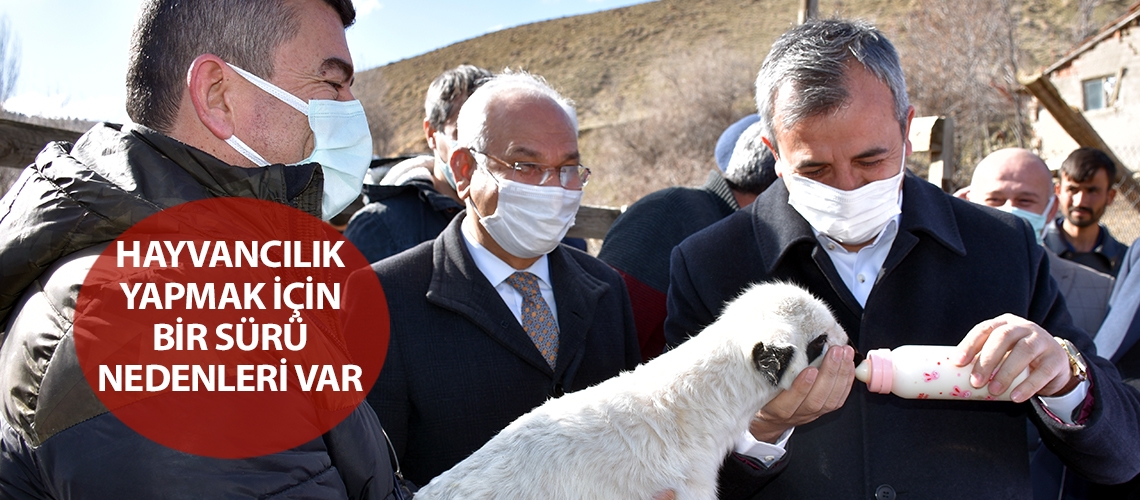 Hayvancılık yapmak için bir sürü nedenleri var